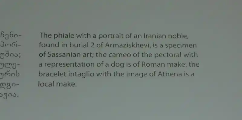 Phiale with portrait of Iranian noble